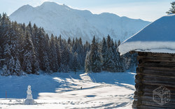 Winterblick bei Seefeld | Tirol - Österreich