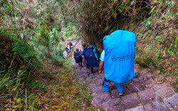 Sherpas on the Inca Trail to Machu Picchu | Peru